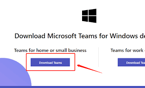 Teams官网无法识别系统版本？Windows/macOS/手机兼容性详解